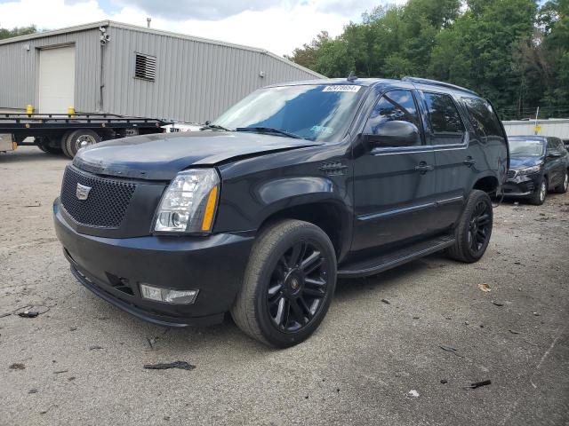 2007 Cadillac Escalade Luxury VIN: 1GYFK638X7R262388 Lot: 62478654