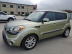 Lot #2957561397 2013 KIA SOUL