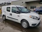 RAM PROMASTER снимка