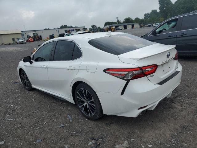 VIN 4T1B21HK3KU519128 2019 Toyota Camry, Hybrid no.2