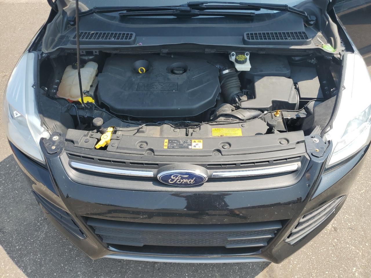 Lot #2909741398 2014 FORD ESCAPE SE