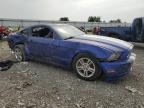 Lot #3024979131 2013 FORD MUSTANG