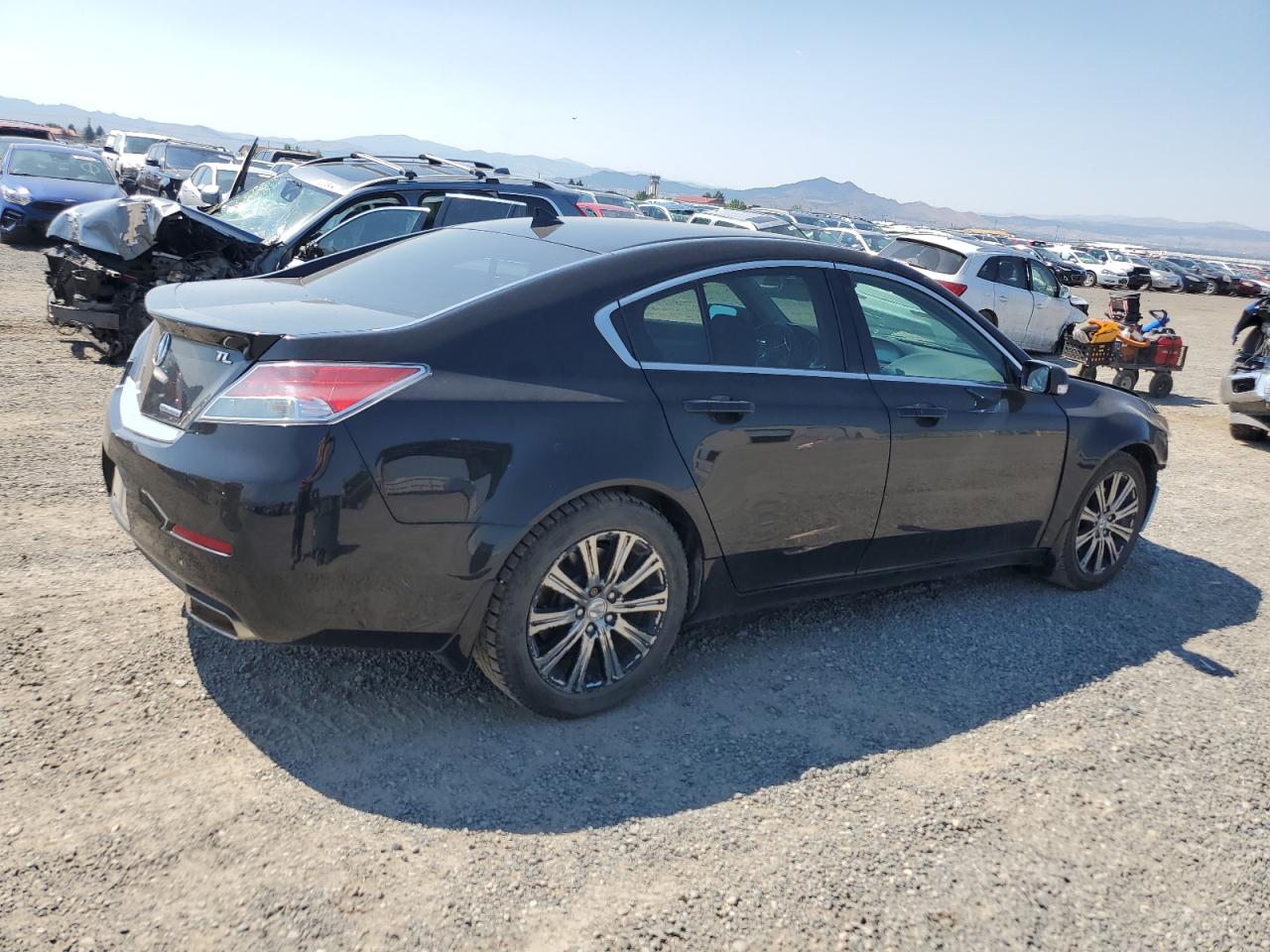 Lot #2821078121 2014 ACURA TL SE