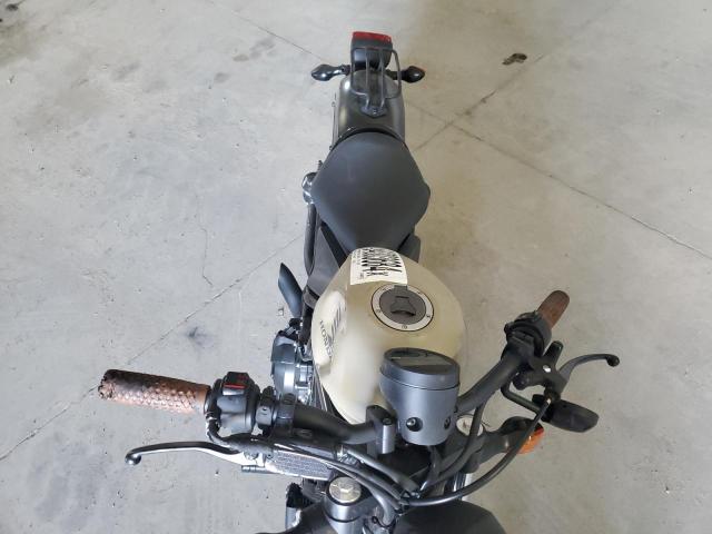 2019 HONDA CMX500 MLHPC5608K5200752