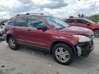 HONDA CR-V EX photo