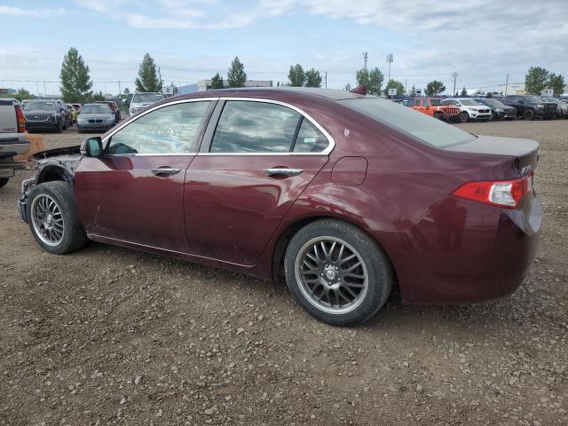 2009 Acura Tsx VIN: JH4CU25609C800690 Lot: 62498684