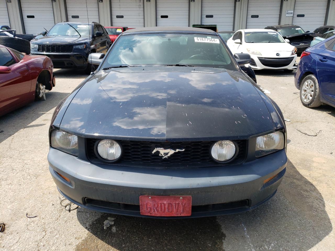 Lot #2748974339 2007 FORD MUSTANG GT