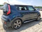 KIA SOUL + photo