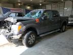 FORD F150 SUPER photo