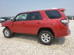 TOYOTA 4RUNNER SR photo