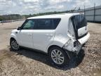 KIA SOUL + photo