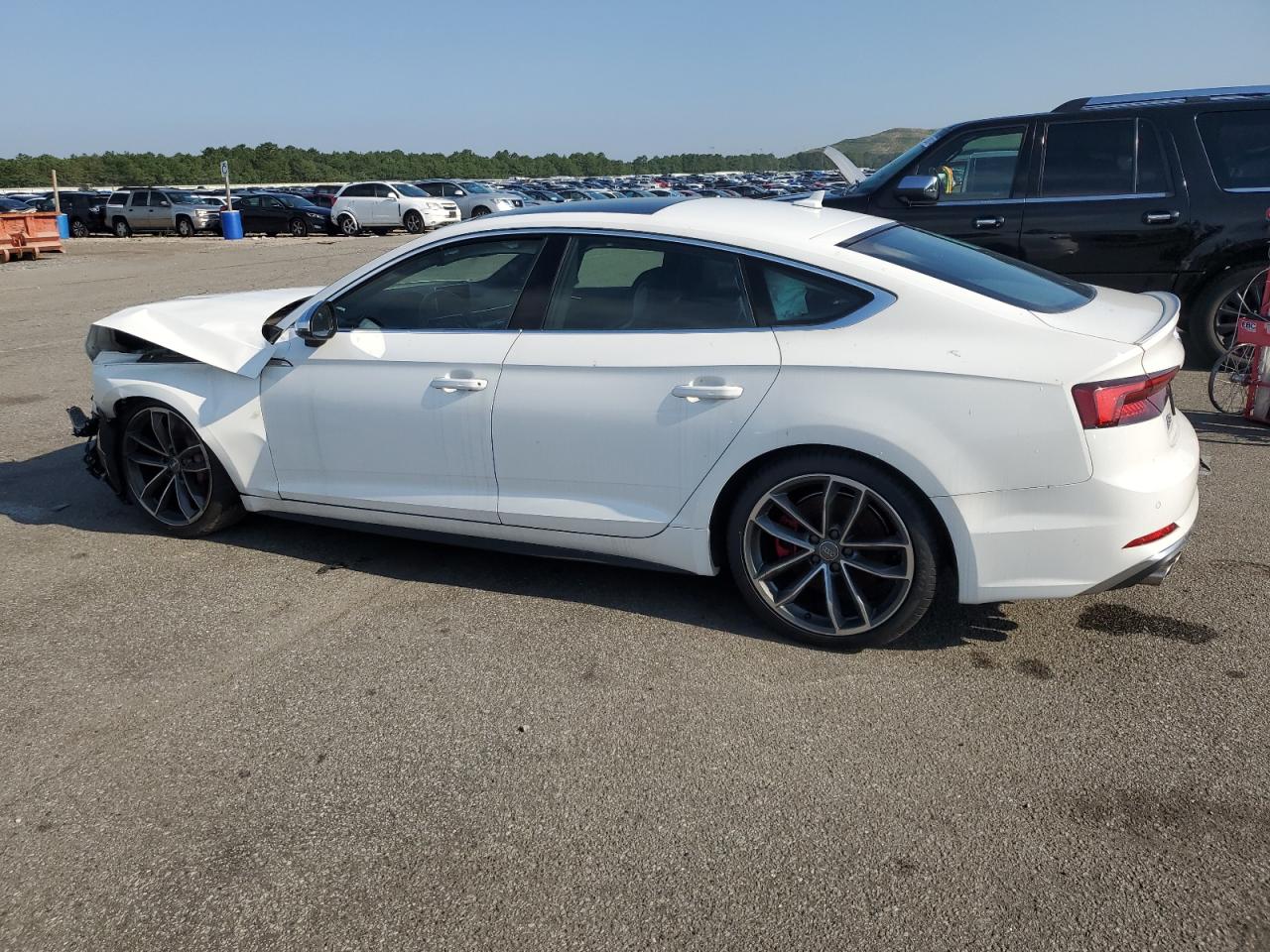 AUDI S5 PREMIUM PLUS