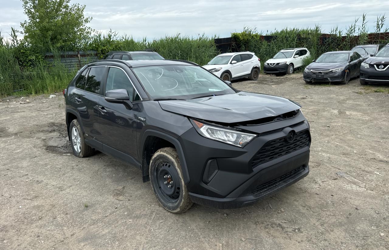 2019 Toyota Rav4 Le vin: 2T3BWRFV2KW001888