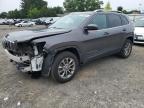 2019 JEEP CHEROKEE L - 1C4PJMLX0KD359825