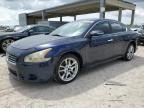 NISSAN MAXIMA S photo