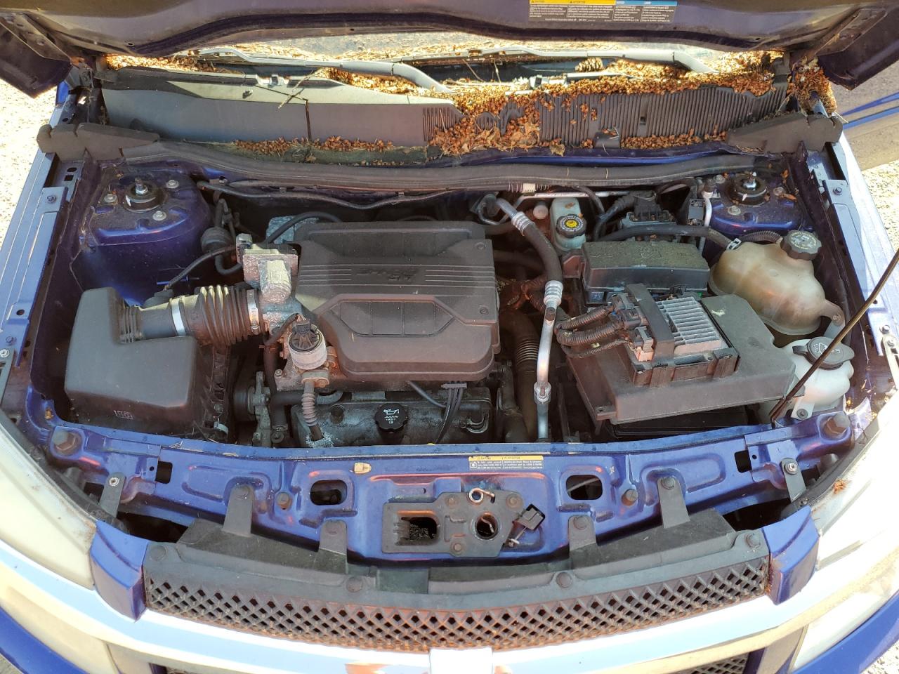 2CNDL63F666003380 2006 Chevrolet Equinox Lt