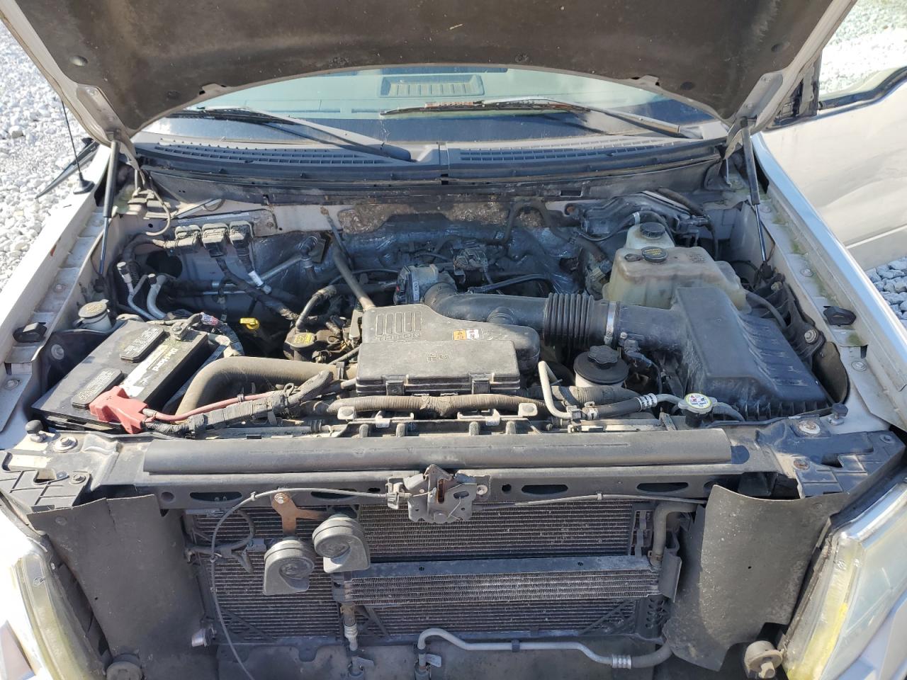 1FTEX1EW6AFB55137 2010 Ford F150 Super Cab