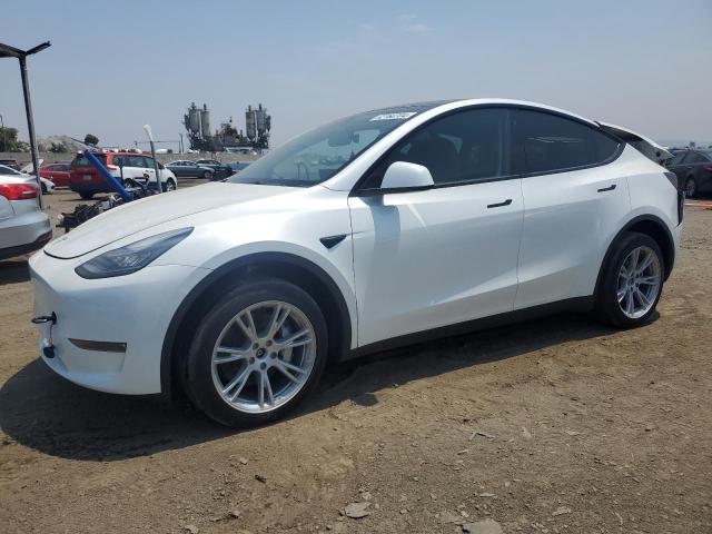 2023 Tesla Model Y VIN: 7SAYGDEEXPA031259 Lot: 62760704