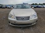 LEXUS ES 350 photo