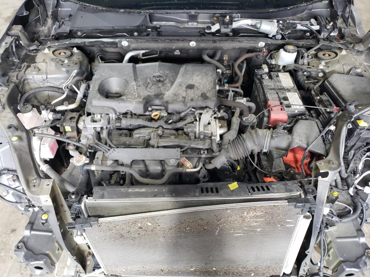 2T3G1RFV8KC019821 2019 Toyota Rav4 Le