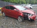 HYUNDAI ELANTRA SE photo