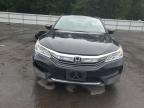 HONDA ACCORD LX photo