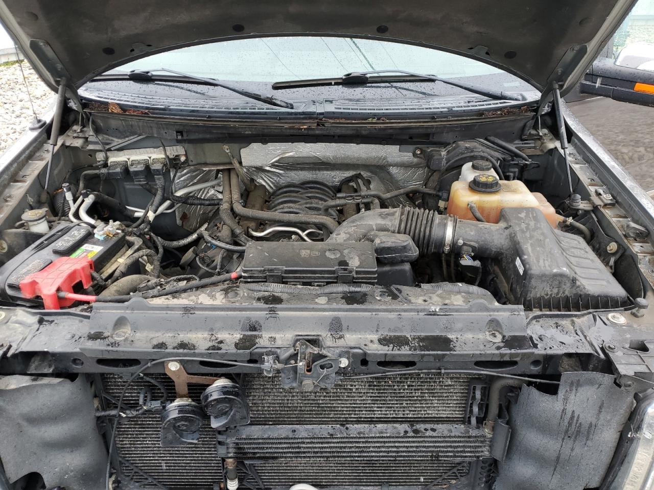 1FTFW1EF8DFB78236 2013 Ford F150 Supercrew