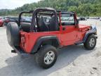 JEEP WRANGLER / photo