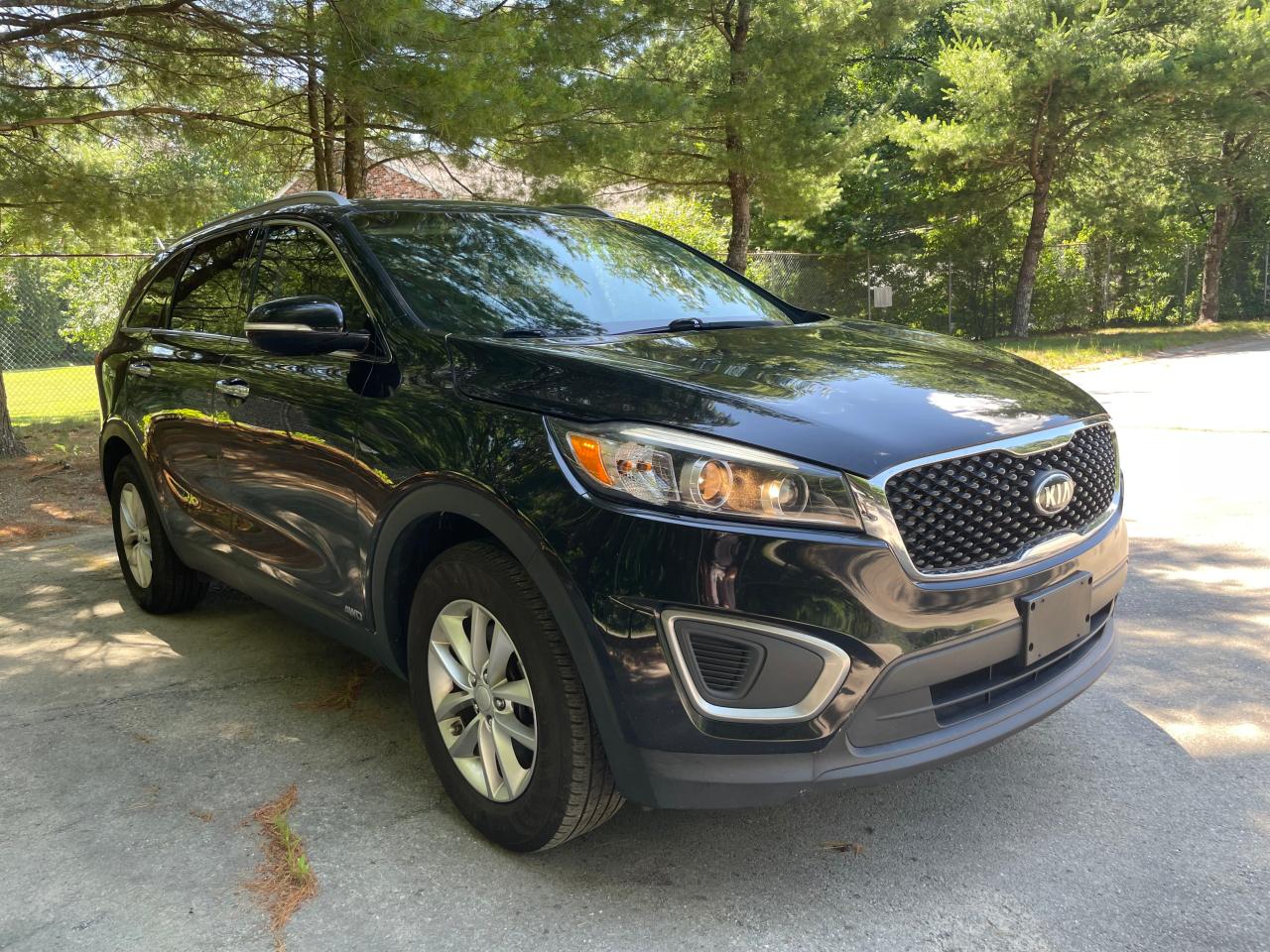 2016 Kia Sorento Lx vin: 5XYPGDA30GG102011