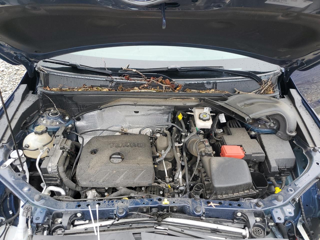 KL79MPSL3PB118454 2023 Chevrolet Trailblazer Lt