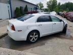 CHEVROLET MALIBU 1LT photo