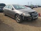 CHEVROLET MALIBU 1LT photo