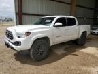 2023 TOYOTA TACOMA DOU - 3TMAZ5CN6PM217929
