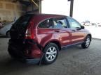 HONDA CR-V SE photo