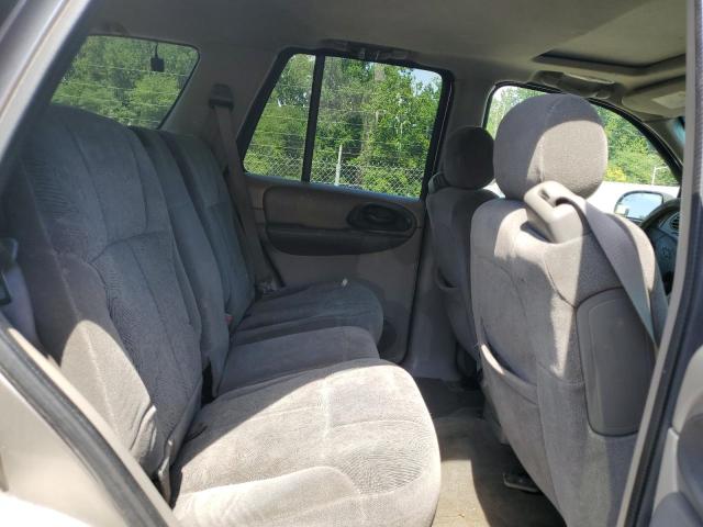 2002 Chevrolet Trailblazer VIN: 1GNDT13S722438766 Lot: 61035284