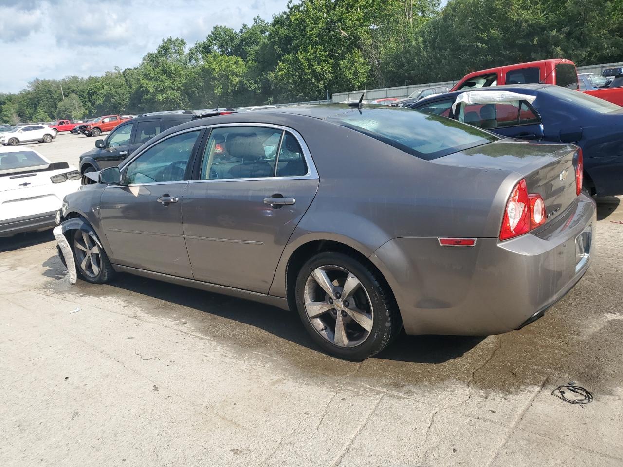 Lot #2684186449 2011 CHEVROLET MALIBU 1LT