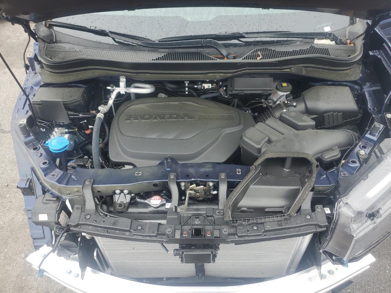 5FNYF8H59RB017636 2024 Honda Passport Exl