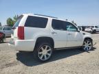 CADILLAC ESCALADE P photo