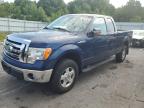 1FTEX1E89AFA30618 2010 Ford F150 Super Cab