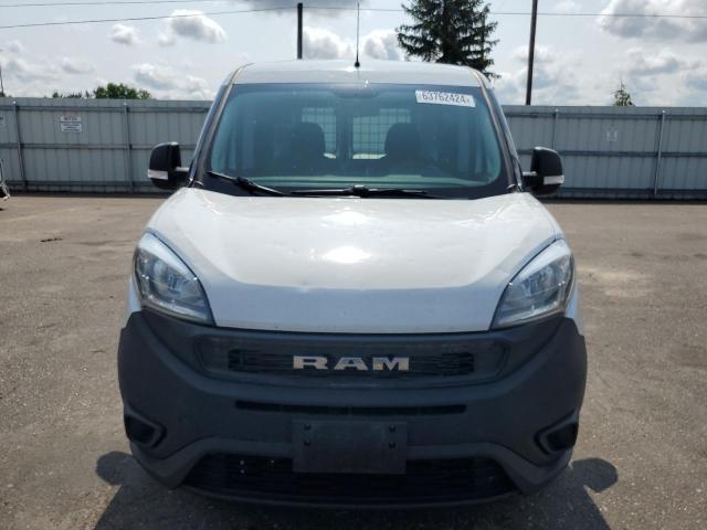 2020 RAM PROMASTER - ZFBHRFAB7L6S19490