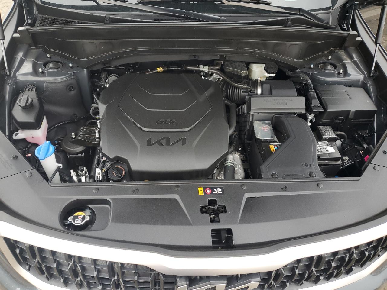 5XYP3DGC8RG507281 2024 Kia Telluride Ex