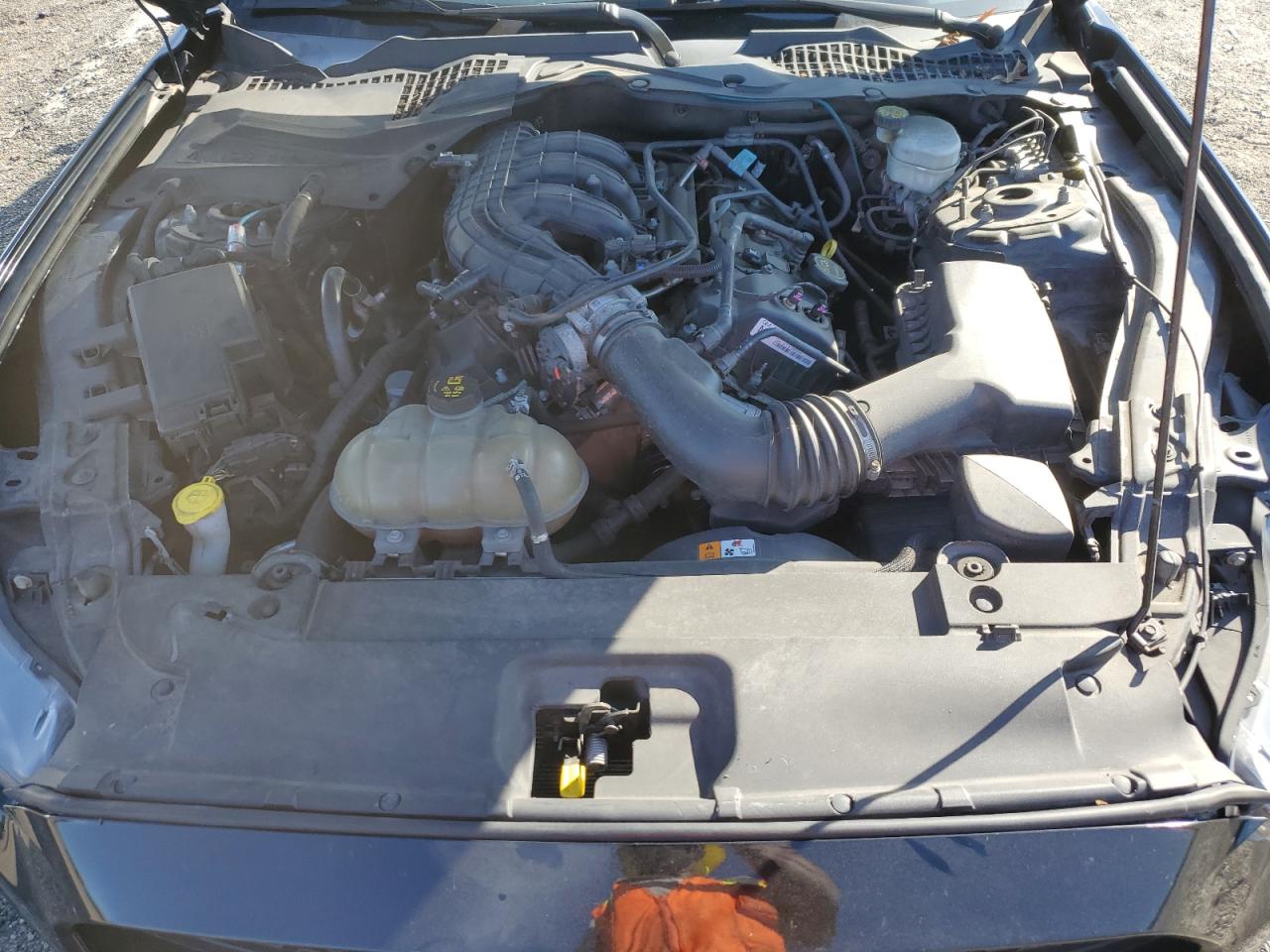 1FA6P8AMXH5316516 2017 Ford Mustang