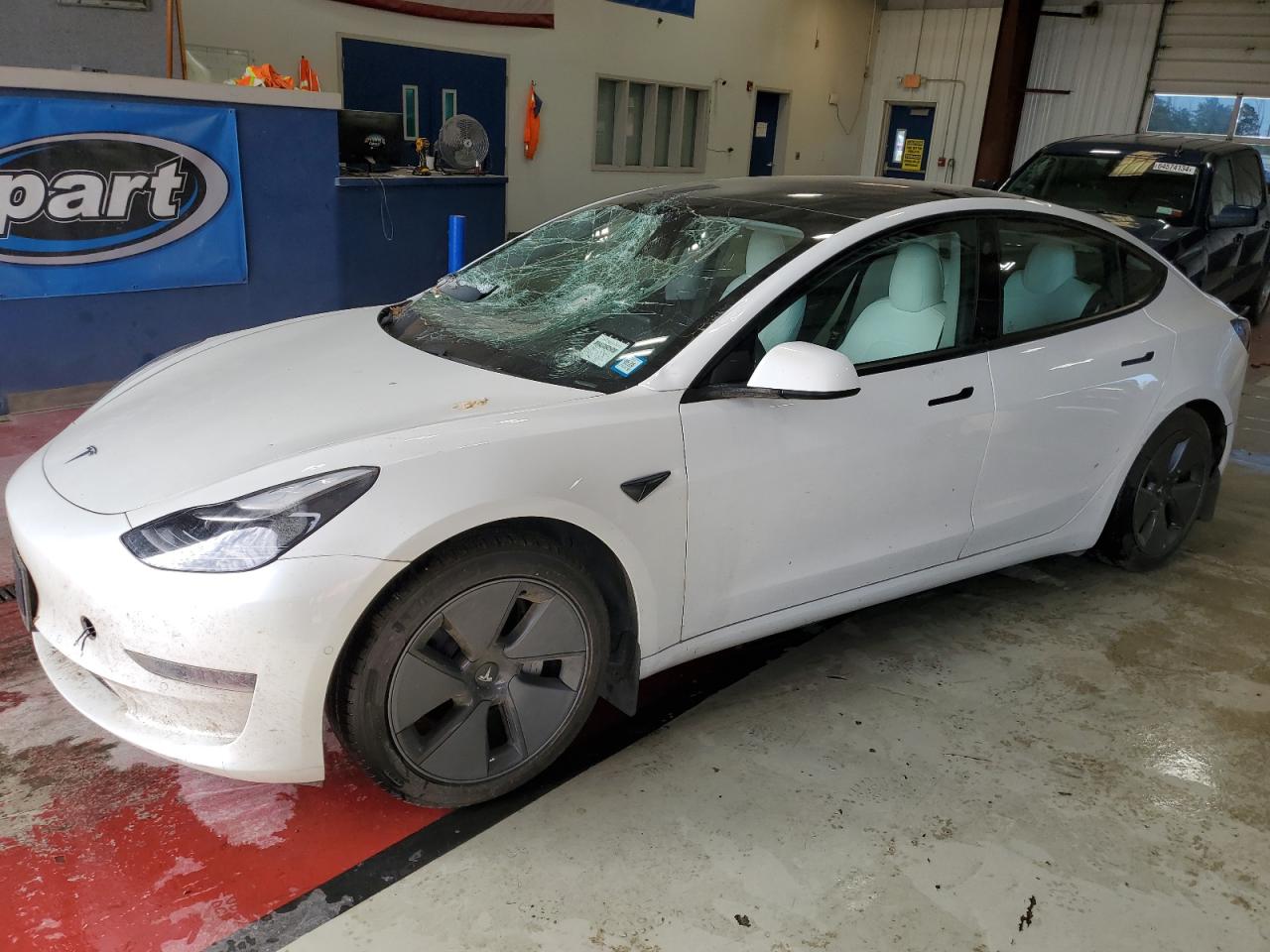 Tesla Model 3 2021 