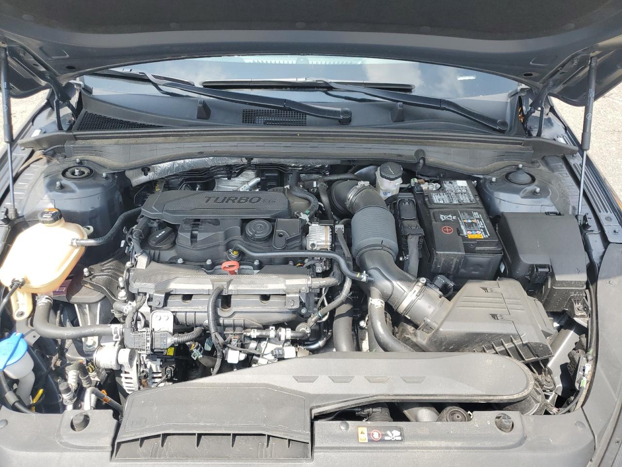 5XXG14J28RG241254 2024 Kia K5 Lxs