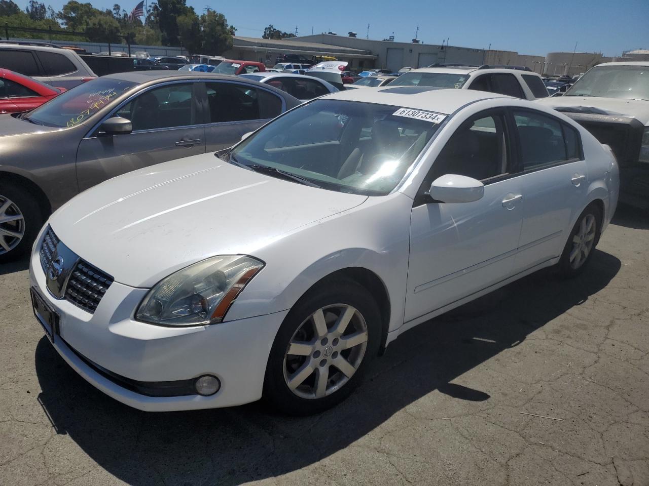 1N4BA41E94C833054 2004 Nissan Maxima Se