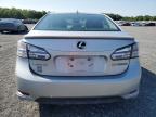 LEXUS HS 250H photo