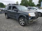 HONDA PILOT EXL photo