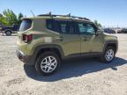 JEEP RENEGADE L photo