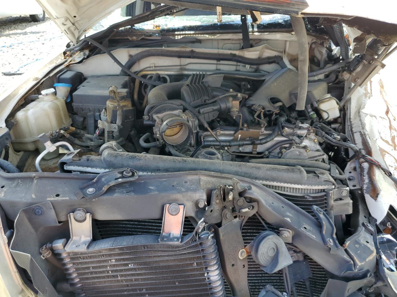 5N1AN08U25C609511 2005 Nissan Xterra Off Road