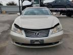 LEXUS ES 350 photo